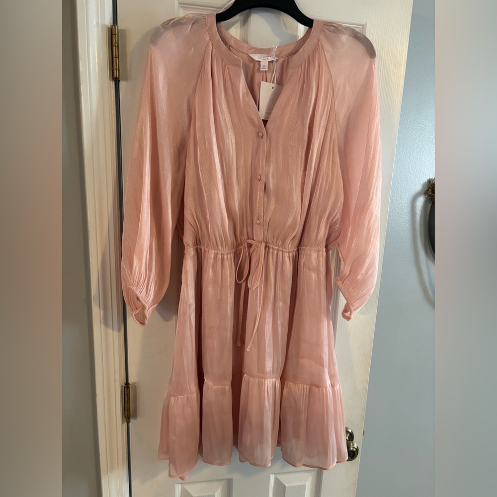 Elegant Pink Sheer Dress